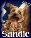 Sandie