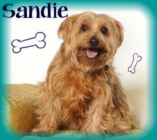 Sandie