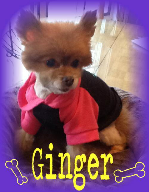 Ginger