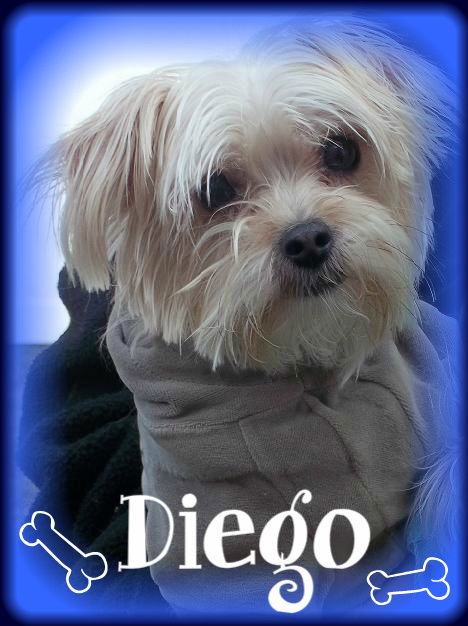 Diego