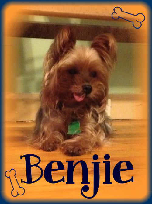 Benjie