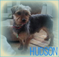 Hudson