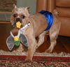 Buster