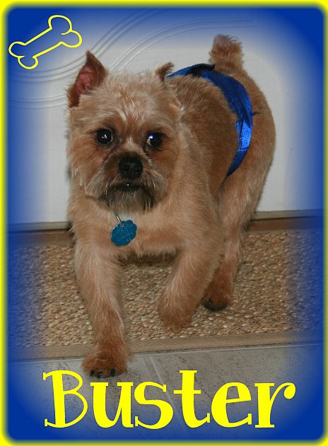 Buster