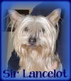 Sir Lancelot