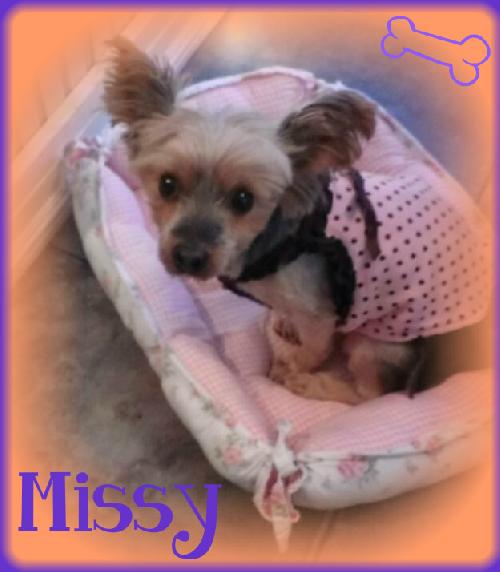 Missy