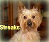 Streaks