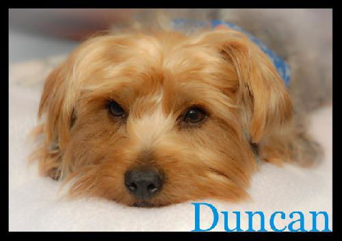 Duncan