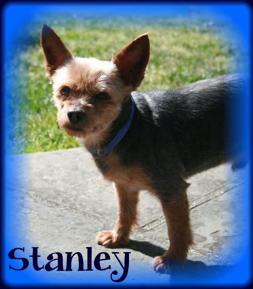 Stanley