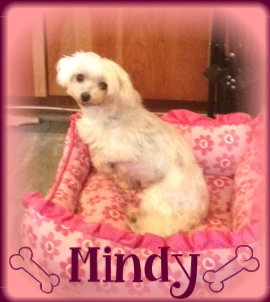 Mindy