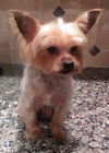 Topher