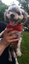 Mylo