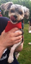 Mylo