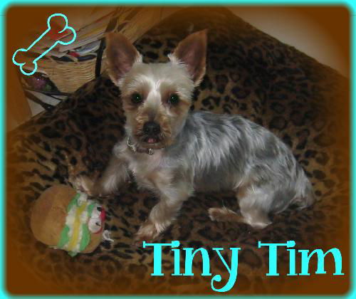 Tiny Tim