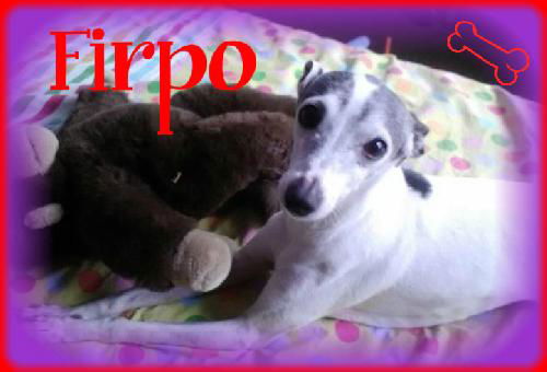 Firpo