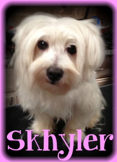 Skhyler
