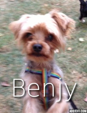 Benjy