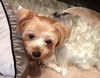 Sonnie