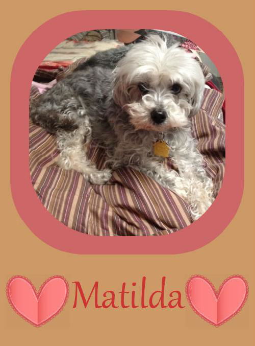 Matilda (Tillie)