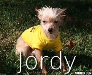 Jordy