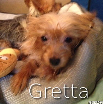 Gretta