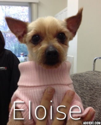 Eloise