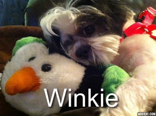 Winkie