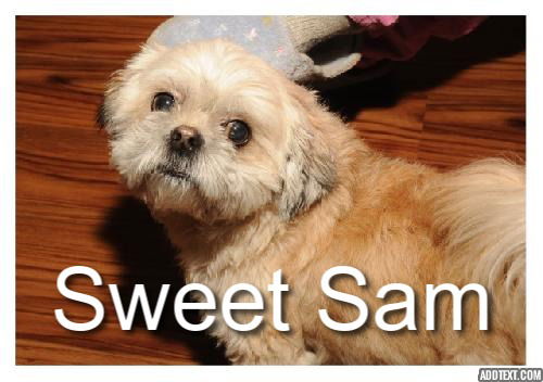 Sweet Sam