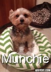 Munchie