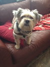 Mr. McDuff