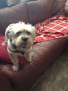 Mr. McDuff