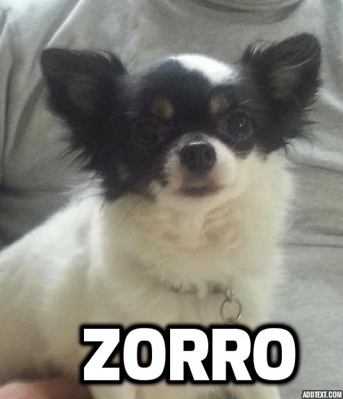 Zorro