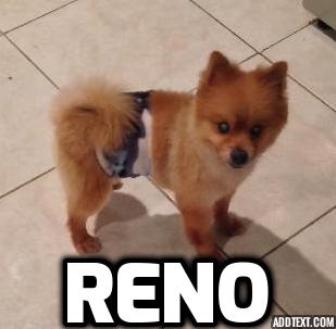 Reno