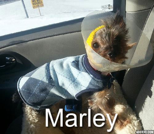 Marley