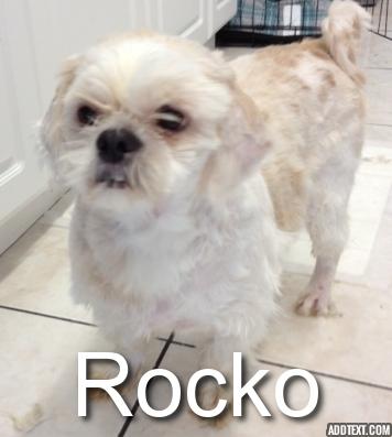 Rocko