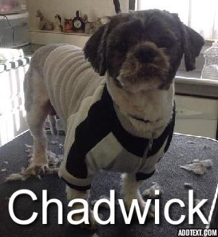 Chadwick