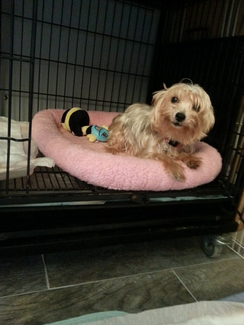Millie & Tinky