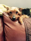 Nicky