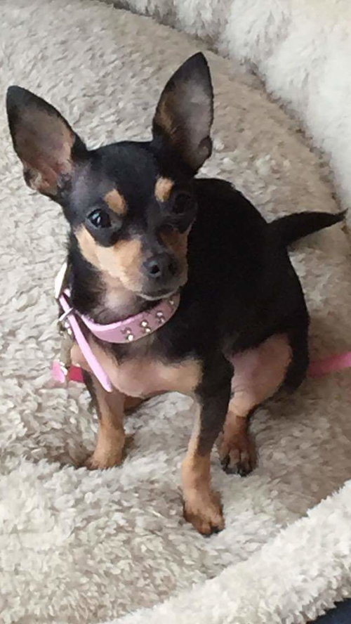 Chiquita