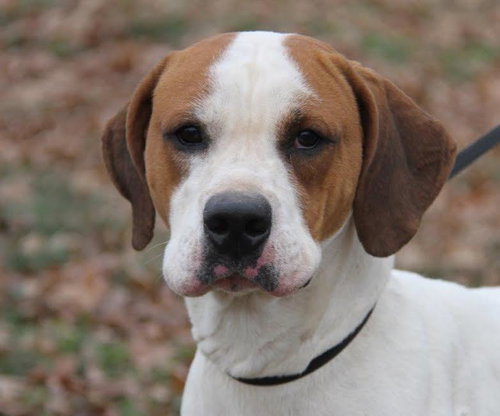 Tyson