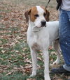Tyson