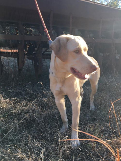 Fiona Lab