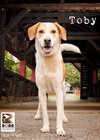 Tobie