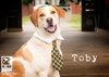 Tobie