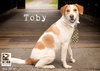 Tobie