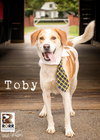 Tobie