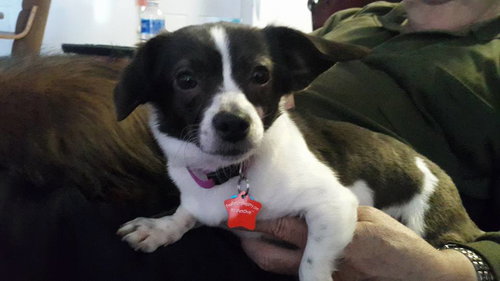 Snoopy Girl