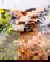 April