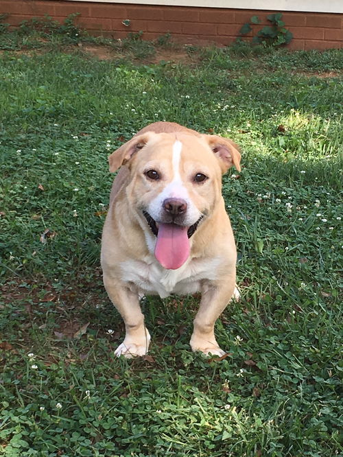 Buster