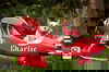 Charlie Chi